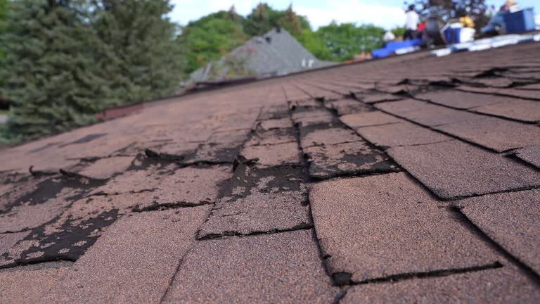 4 Ply Roofing in Leonard, TX