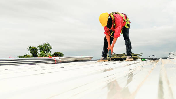 Best Solar Panel Roofing Installation  in Leonard, TX