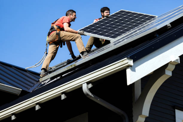 Best Chimney Flashing Repair  in Leonard, TX